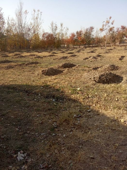 Yer uchastka sotiladi