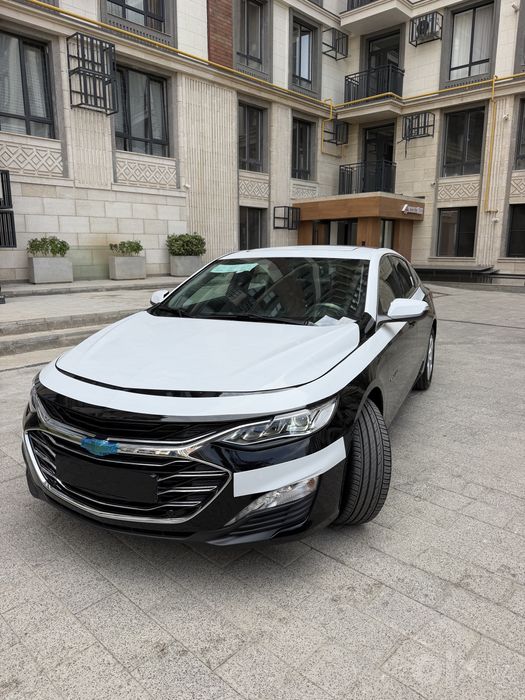 Malibu 2 premier 2022 bir qol bez prabeg