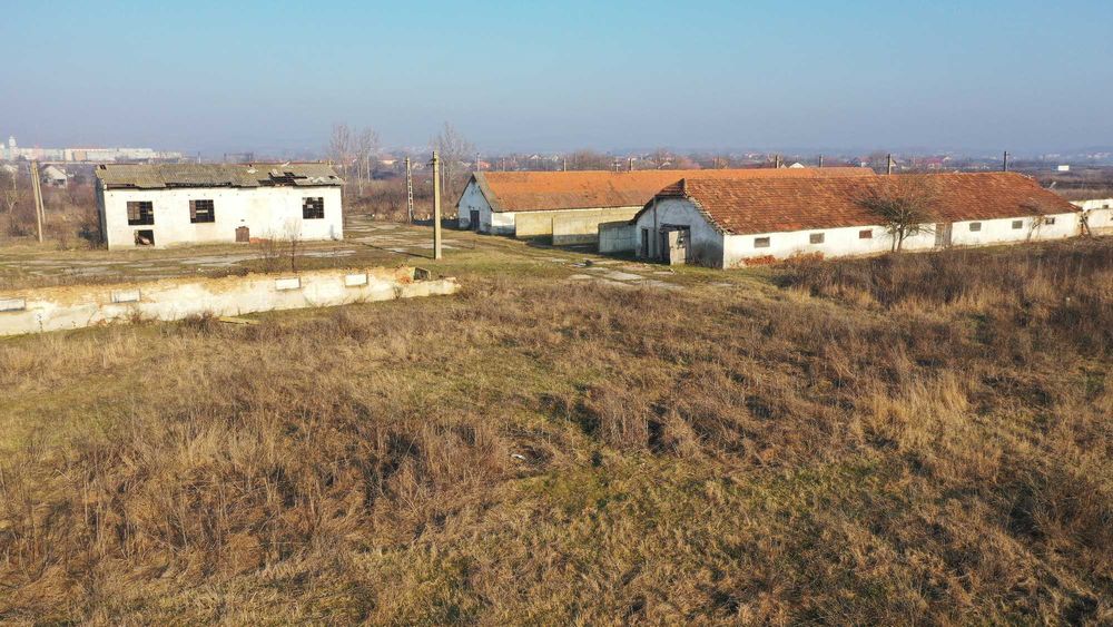 Teren Intravilan Filiasi - 55000 mp