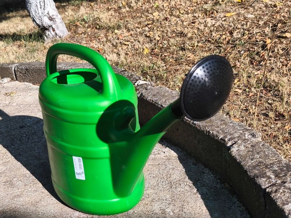 Различни видове цветя