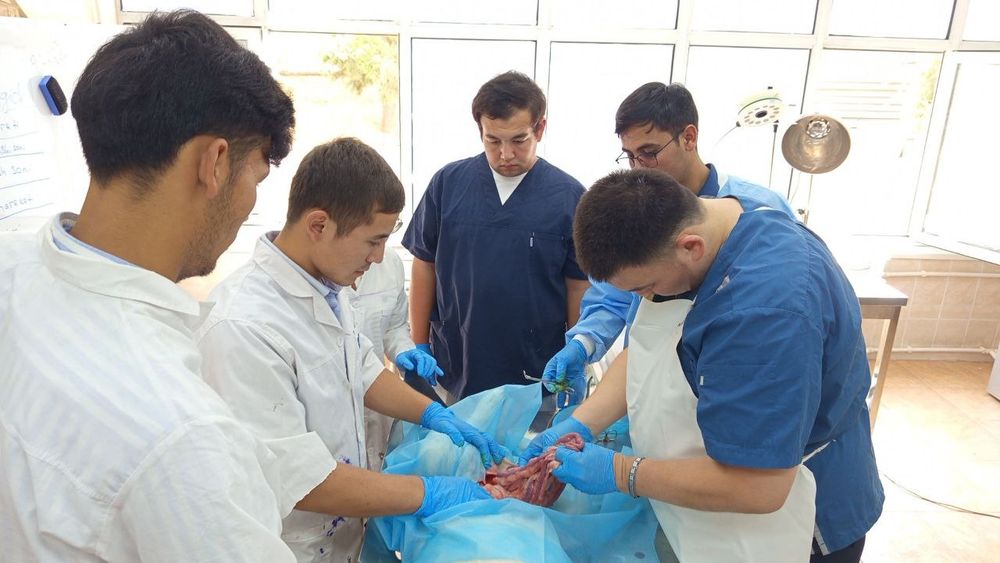 Veterinar xizmati