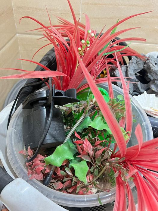 Аквариум для рыб