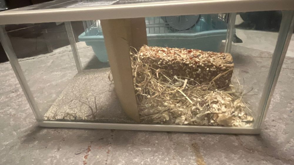 Клетка Хомяка хомяк