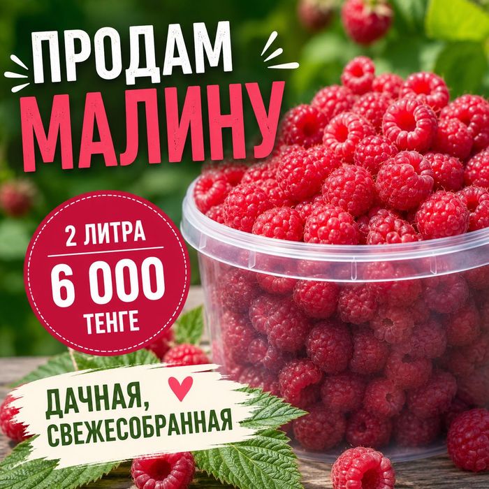 Малина свежая дачная