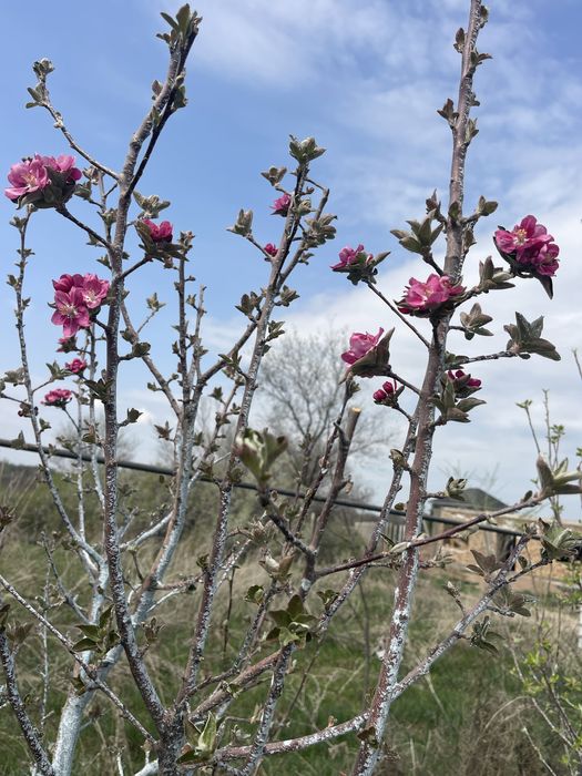 Продам уютный, теплый дом