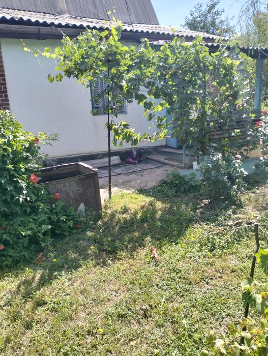 Продам дачу 6 соток