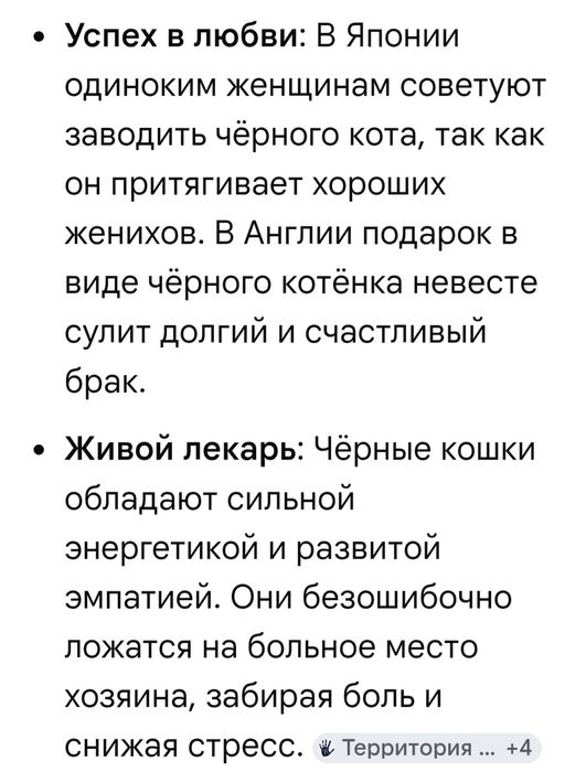 Котята  красотульки.