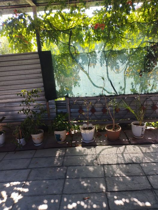 Продам 2ух  этажный дом