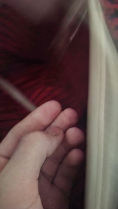 Geanta louis vuitton