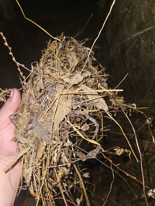 Vând baloți făn infoliat siloz