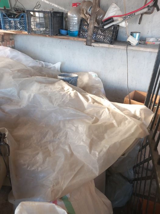 Vând porumb boabe pioner sfarmat