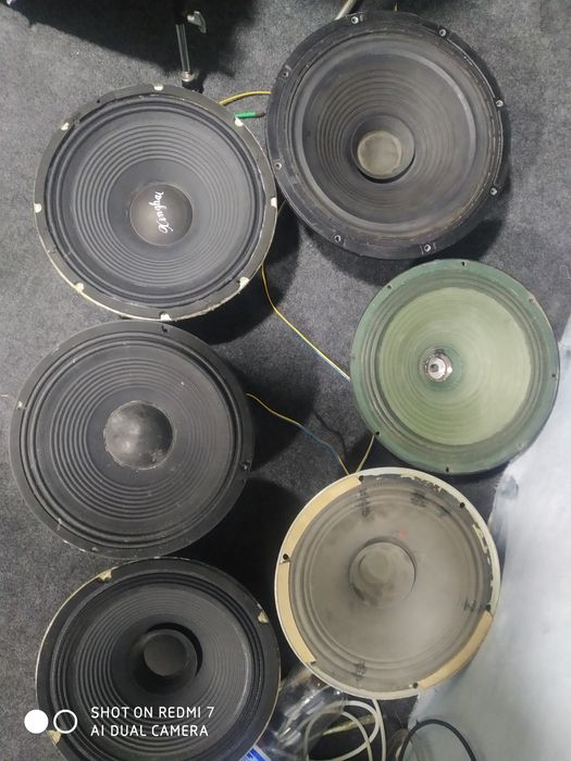 Динамики от калонок