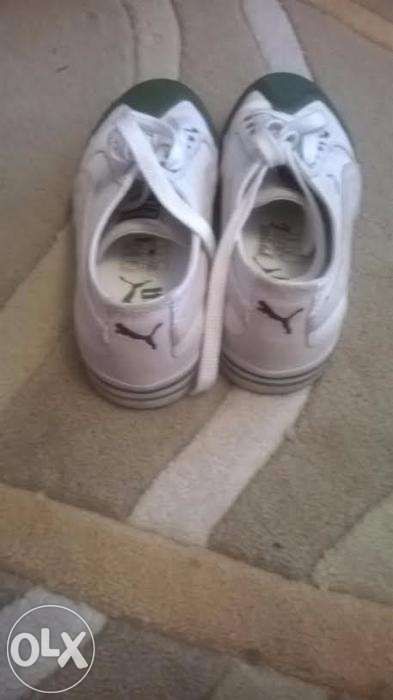 tenesi dama PUMA, 36