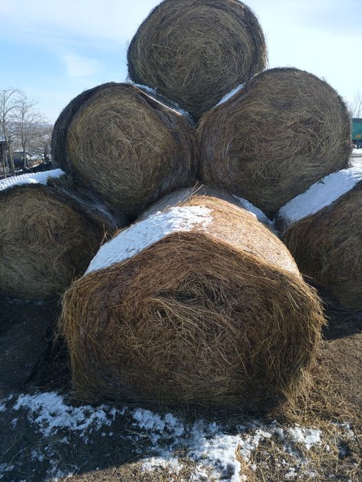 Baloți de fân și de paie