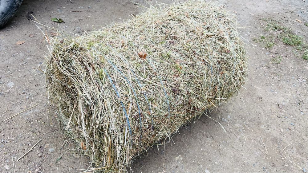 Baloți de fân rotunzi