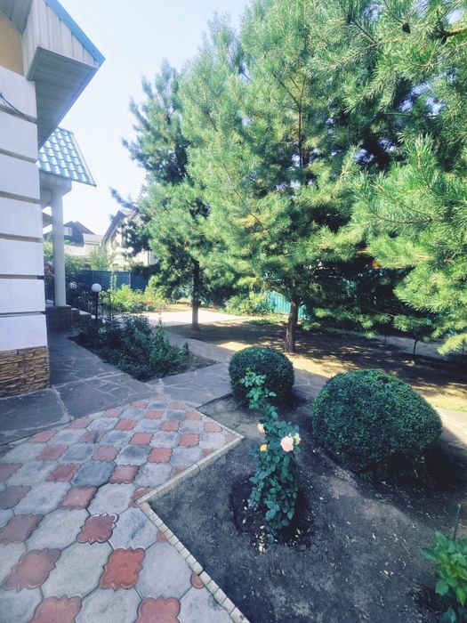 Услуги зооняни,  передержка