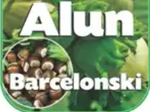 Alun (Soiul Barcelonski) la ghiveci