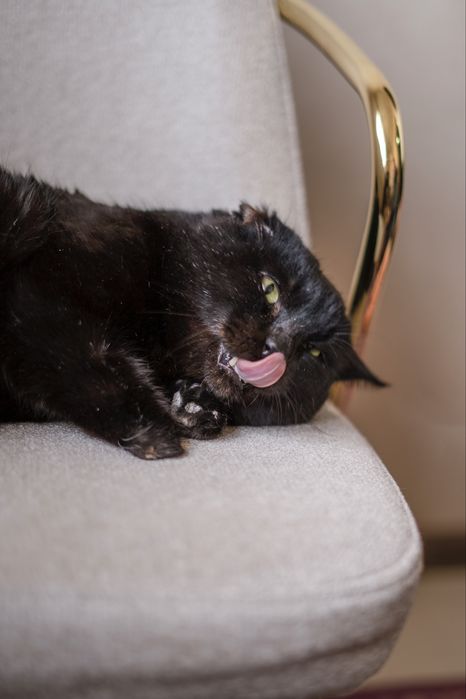 Мартин в поисках дома, Ташкент!