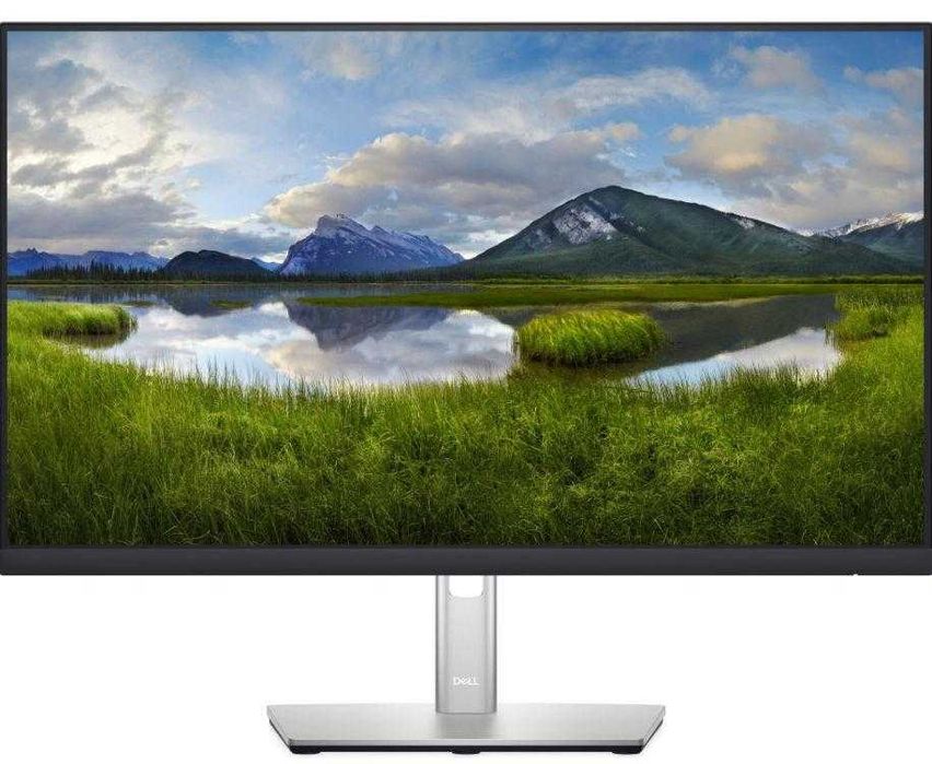 Monitor DELL P2422H