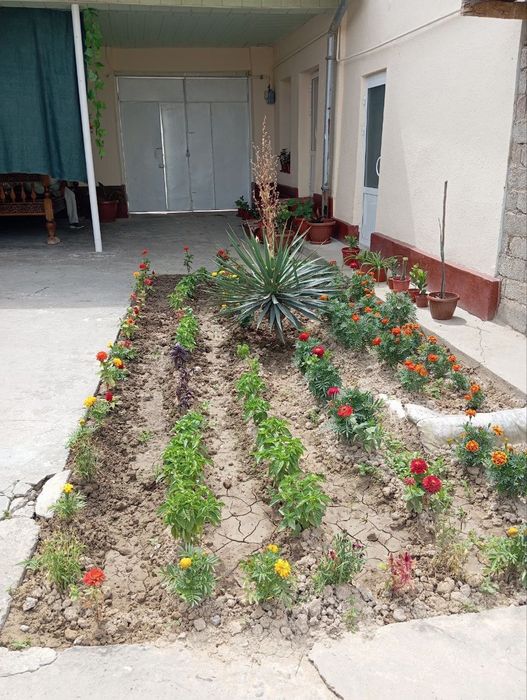 Uchaska zangi otadan