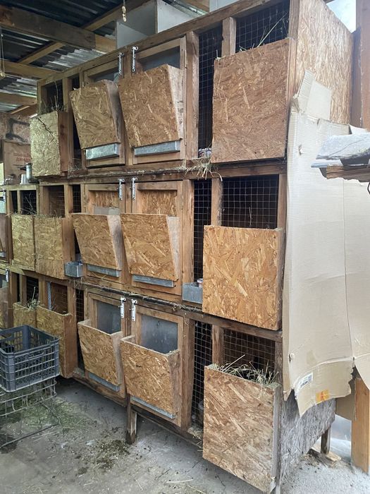 Продам клетки для кроликов