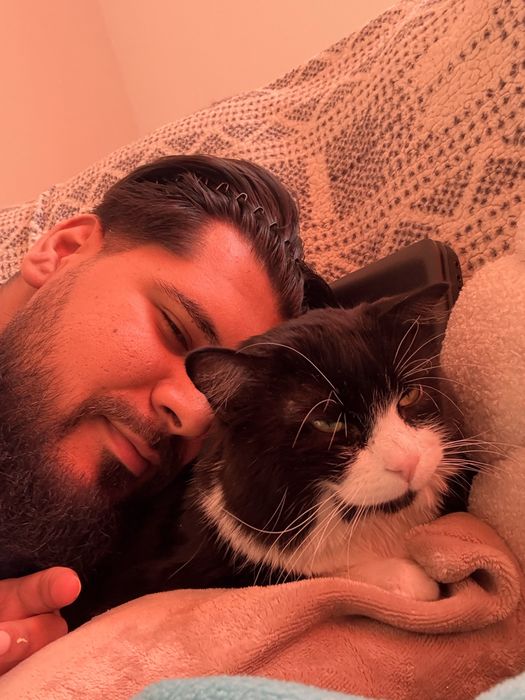 Cazare/Boarding/Pensiune pisici in Popesti-Leordeni