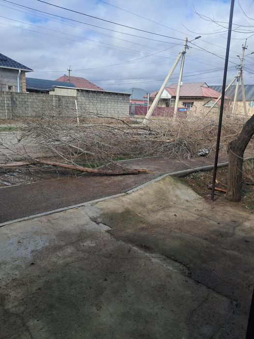 Отын тегін өздеріңіз алып кете береміздер