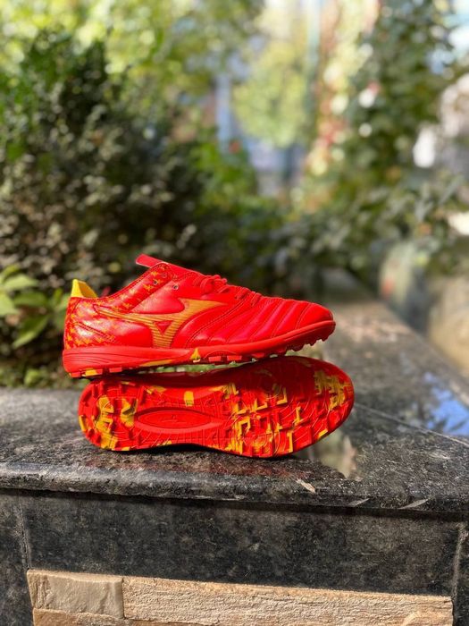 Сараканошка Размеры