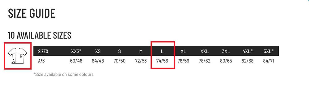 Тениска BMW ///M - размер L - 100% памук
