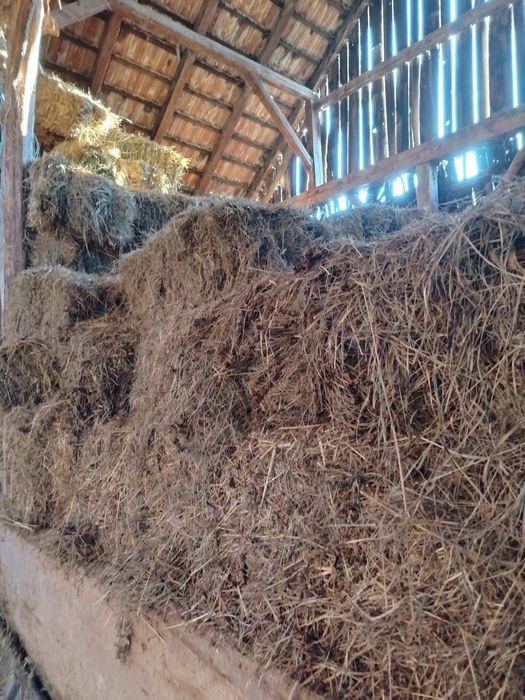 Baloți de fân de calitate