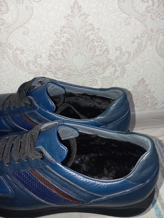 Турция Зимни красофка