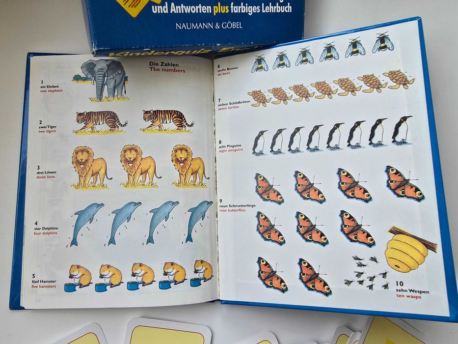 Joc test pentru copii din germana în engleza