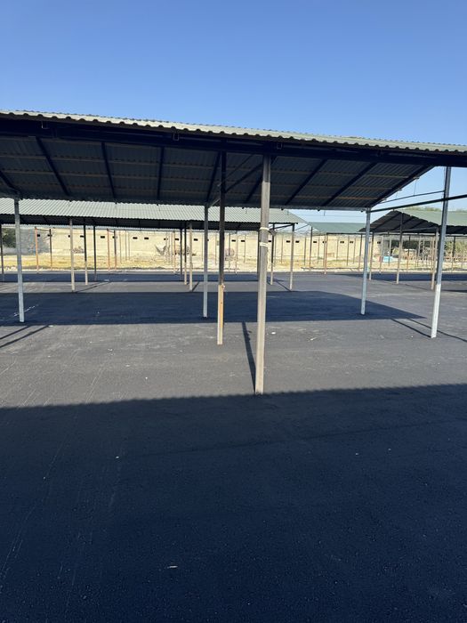 Asfalt Yotqizish Xizmati Butun Jizzax bo'ylab eng arzon narxlarda