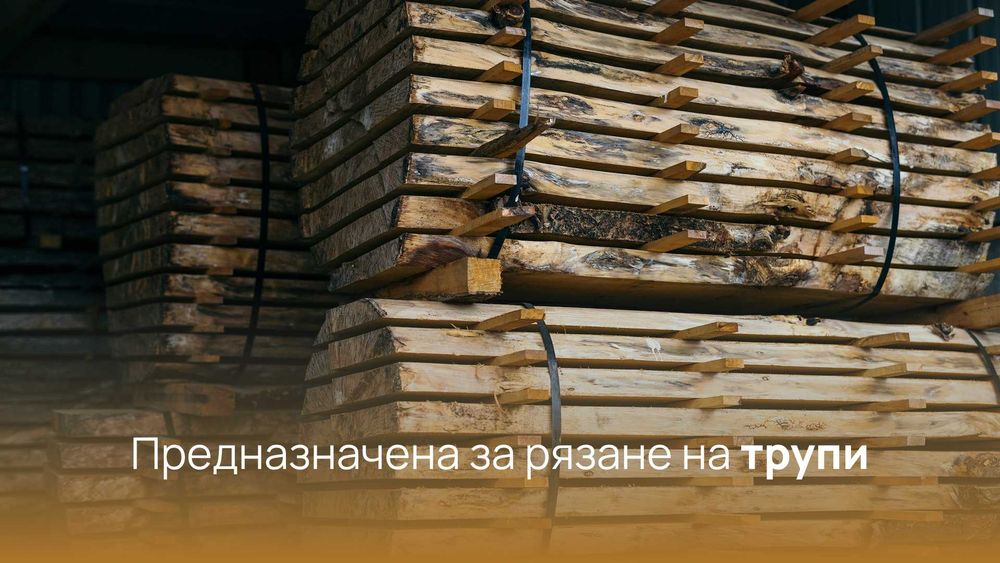 PREMIUM Лента за банциг за разкрояване на трупи - 4444x40x1,14