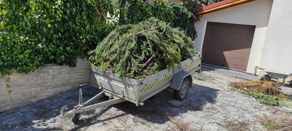 Întreținere spatii verzi
