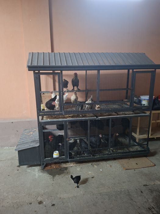 Tovuq katak bo'yi 2metr eni 1 metr uzunligi 2 metr