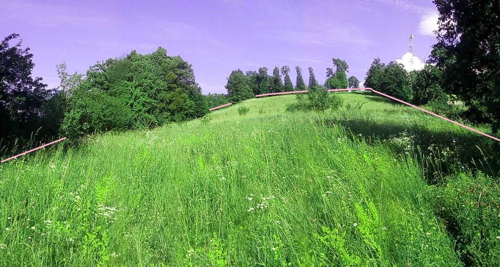 Vând teren extravilan in Bistra Mureșului