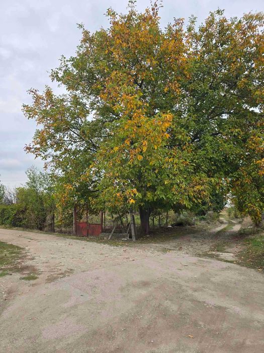 Продава се Парцел в с. Долнослав, Област Пловдив - 718 кв.м за 51 €/кв.м - Снимка #5