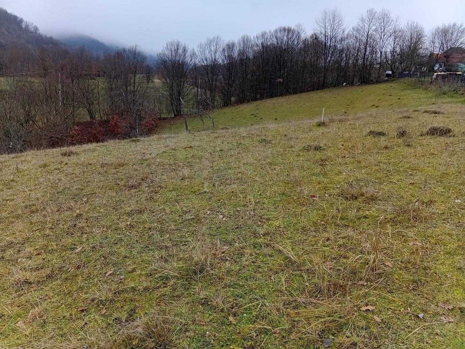 Teren Extravilan 10528mp Luncoiu de Sus, Acces Auto, Sursa Apa, Curent