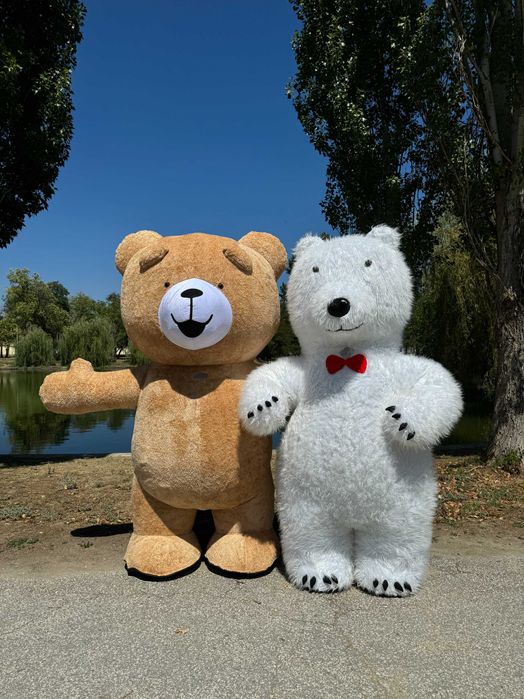 ТАНЦУВАЩИТЕ БЯЛО МЕЧЕ, СТИЧ, ПАНДА област Пловдив, Пазарджик и София