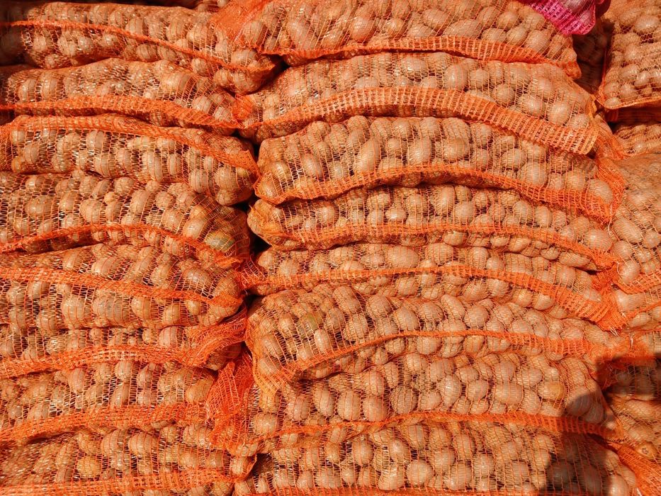 Vând cartof de sămânță alb și roșu