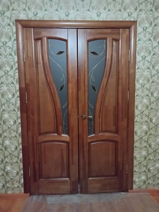 Темір есік ағаш есіктер және пластик