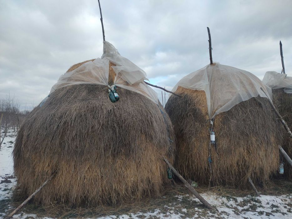 Vand 2 stoguri de fan