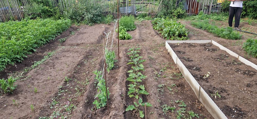 Продам дачу Уралочка