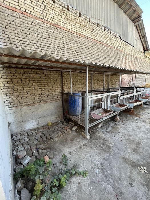 Qo'yxona, katak, sotiladi