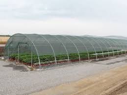 Plasa 35-40%Umbrire 12x50m=1000lei; 12x100m=2000lei; Garantie 5ani