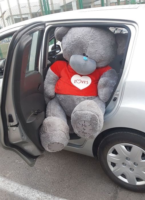 Тедди Teddy Teddi Teddiy по Оптовым сенам