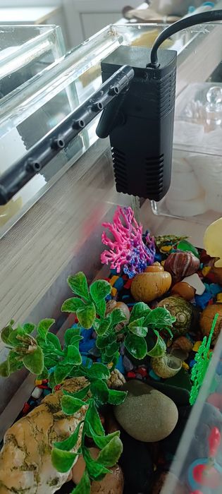 Продам аквариум 10л