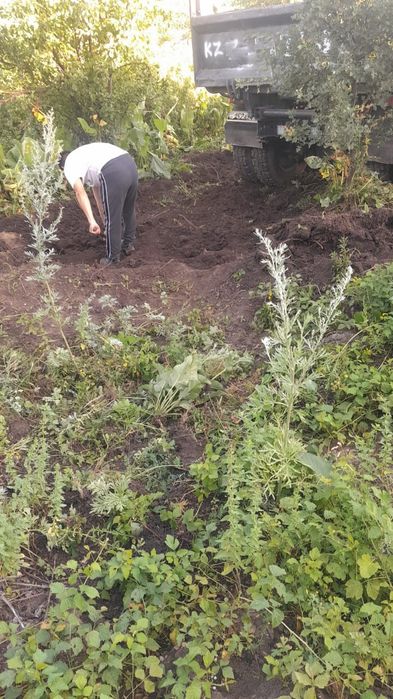 Чистый. горный чернозём