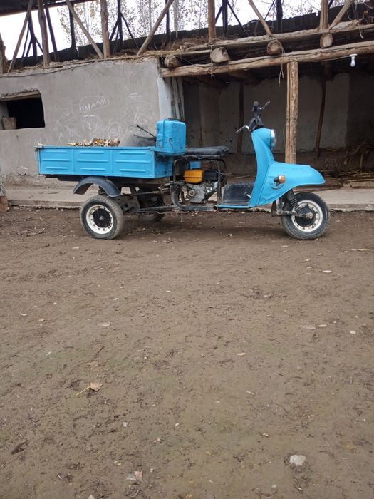 Savet mattaroli muravey